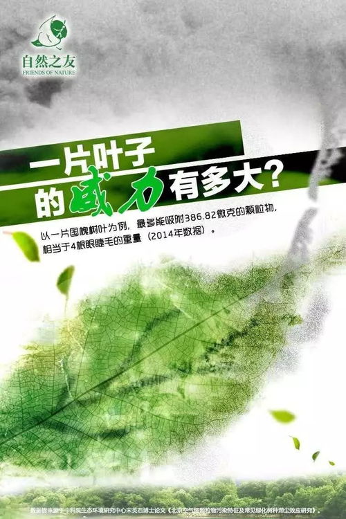 像對待生命一樣對待生態環境——探討環保項目的有效傳播路徑與生態環境材料實踐